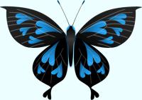 青いハート模様の蝶のイラスト