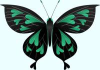 緑色のハート模様の蝶のイラスト