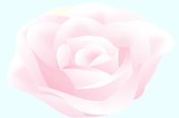 薄いピンクのバラのイラスト2