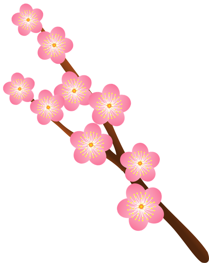 枝付きの薄いピンク色の梅の花のイラスト 無料イラスト素材 ちいさないきもの