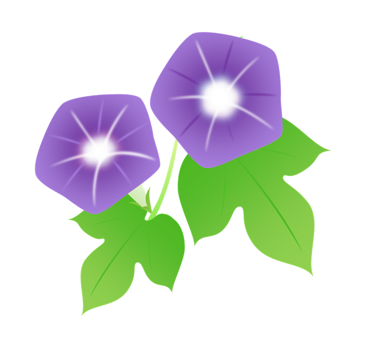 紫色の朝顔 葉付き のイラスト 無料イラスト素材 ちいさないきもの