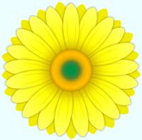 黄色いガーベラの花のイラスト