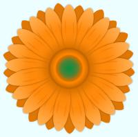 オレンジ色のガーベラの花のイラスト
