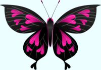ピンク色のハート模様の蝶のイラスト