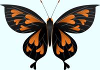 オレンジ色のハート模様の蝶のイラスト