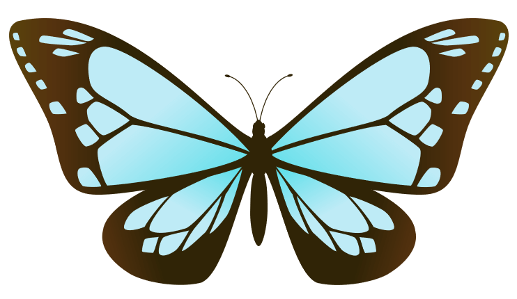 蝶のイラストの描き方