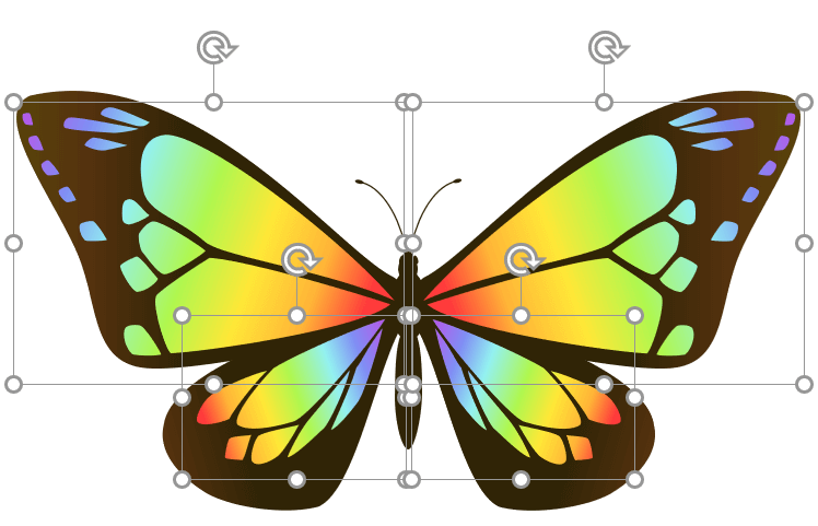 羽1枚ごとに模様をグループ化したパターン