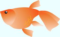 赤い金魚（デフォルメ）のイラスト