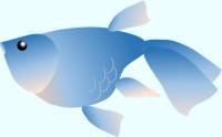青い金魚（デフォルメ）のイラスト