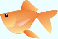 赤い金魚（デフォルメ）のイラストB