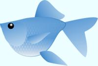 青い金魚（デフォルメ）のイラストB