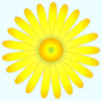 黄色いマーガレットの花のイラスト