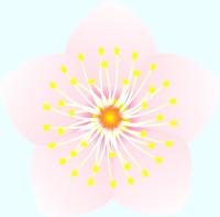 白い桃の花のイラスト