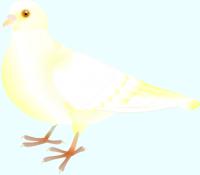 白い鳩のイラスト