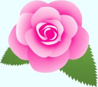 ピンクのバラ（葉付き）のイラスト