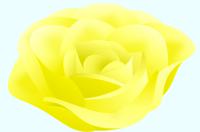 黄色いバラのイラスト2