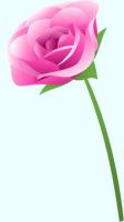 ピンクのバラ（茎付き）のイラスト