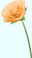 オレンジ色のバラ（茎付き）のイラスト