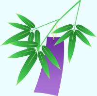 笹の葉（紫色の短冊付き）のイラスト