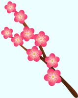 枝付きの濃いピンク色の梅の花のイラスト