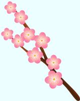 枝付きの薄いピンク色の梅の花のイラスト