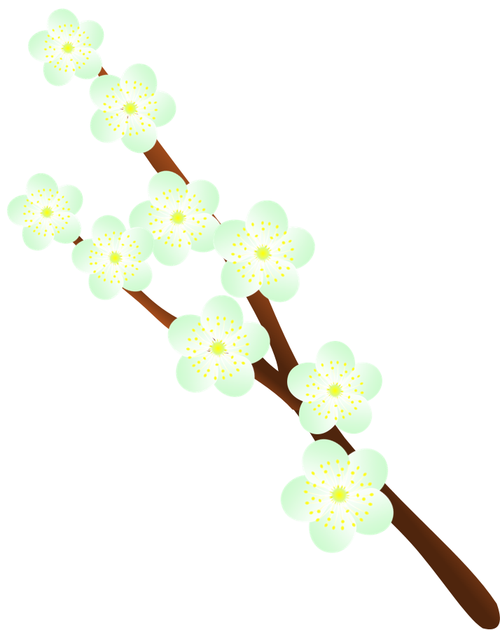 枝付きの白い梅の花のイラスト 無料イラスト素材 ちいさないきもの